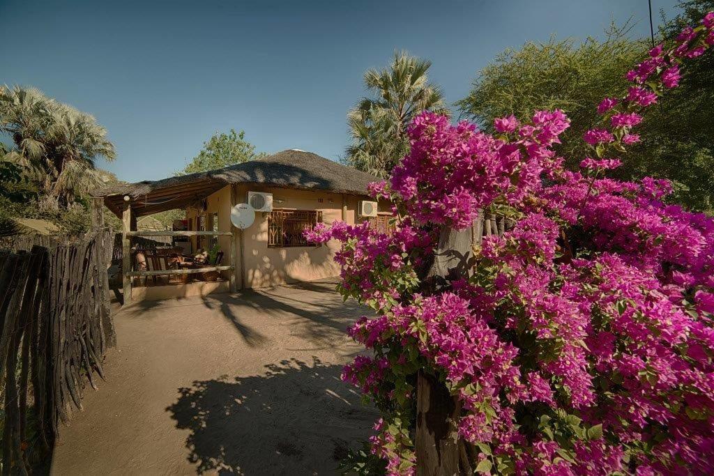 מלון מאון Motsebe Backpackers מראה חיצוני תמונה
