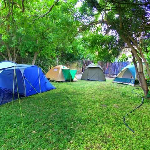 מלון מאון Motsebe Backpackers מראה חיצוני תמונה